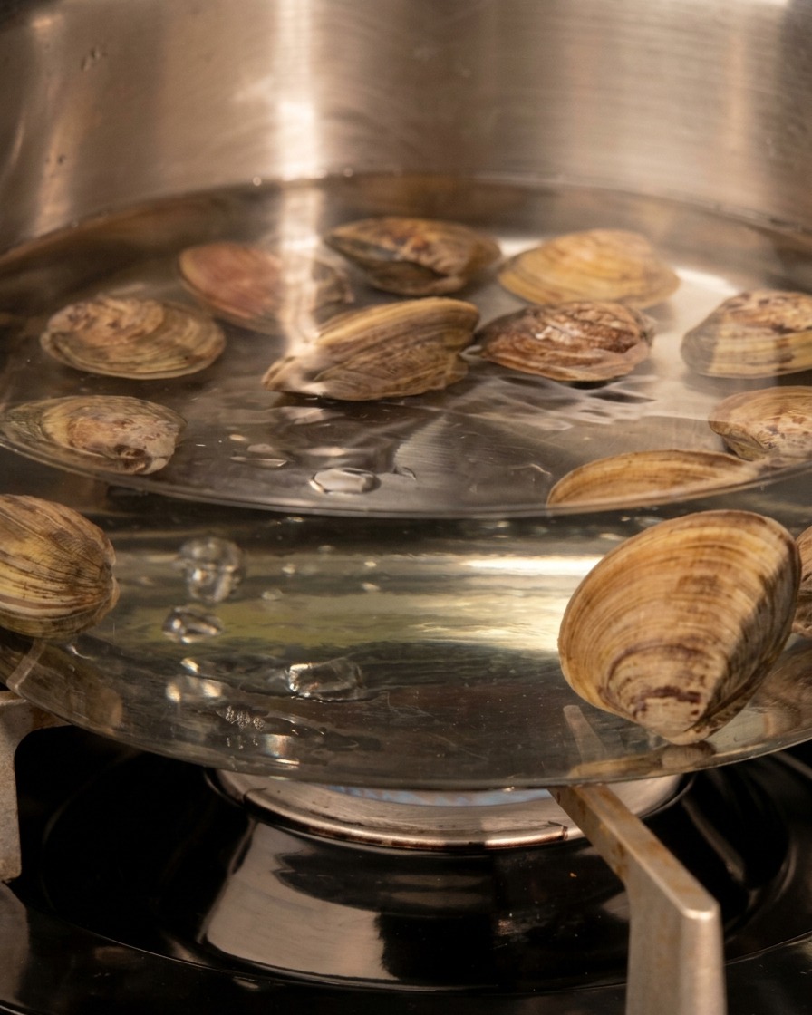 Palourdes fermées immergées dans leau bouillante sur une gazinière.