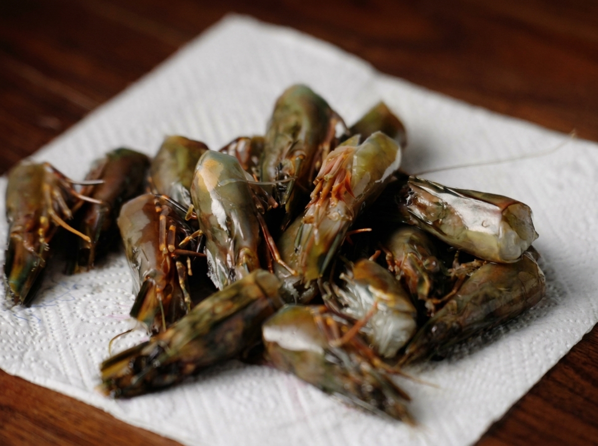 Des têtes de crevettes crues disposées sur du papier absorbant pour éliminer lhumidité.