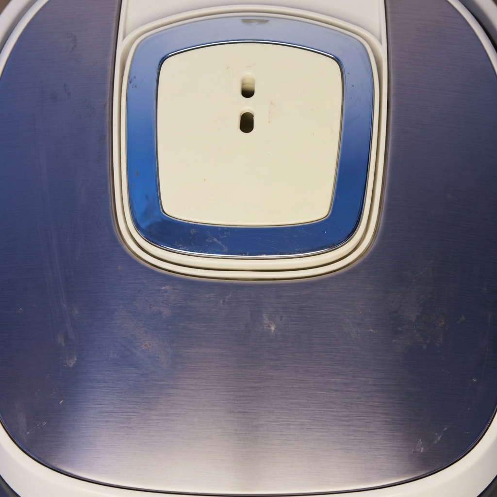 Le panneau supérieur et le couvercle fermé dun cuiseur à riz moderne bleu et blanc.