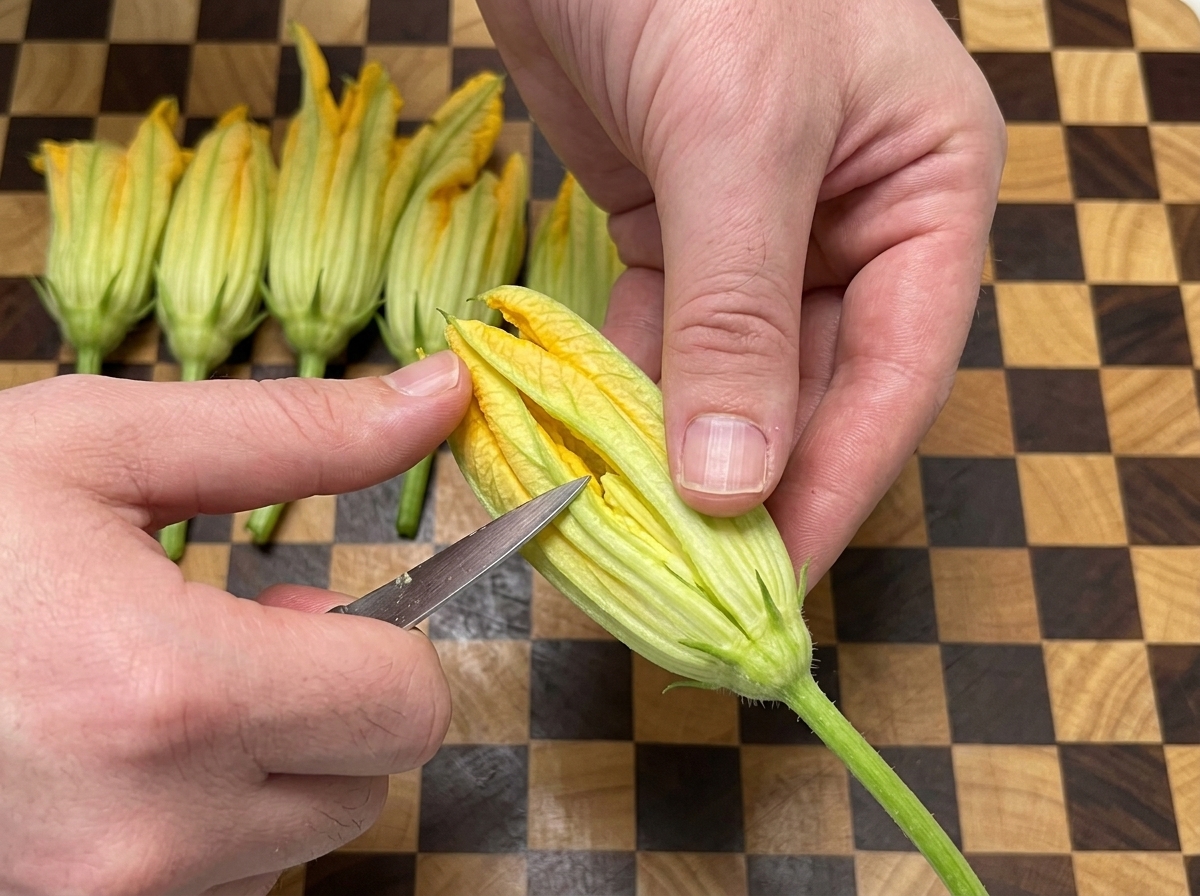 Mains ouvrant une fleur de courge en pratiquant une incision latérale.