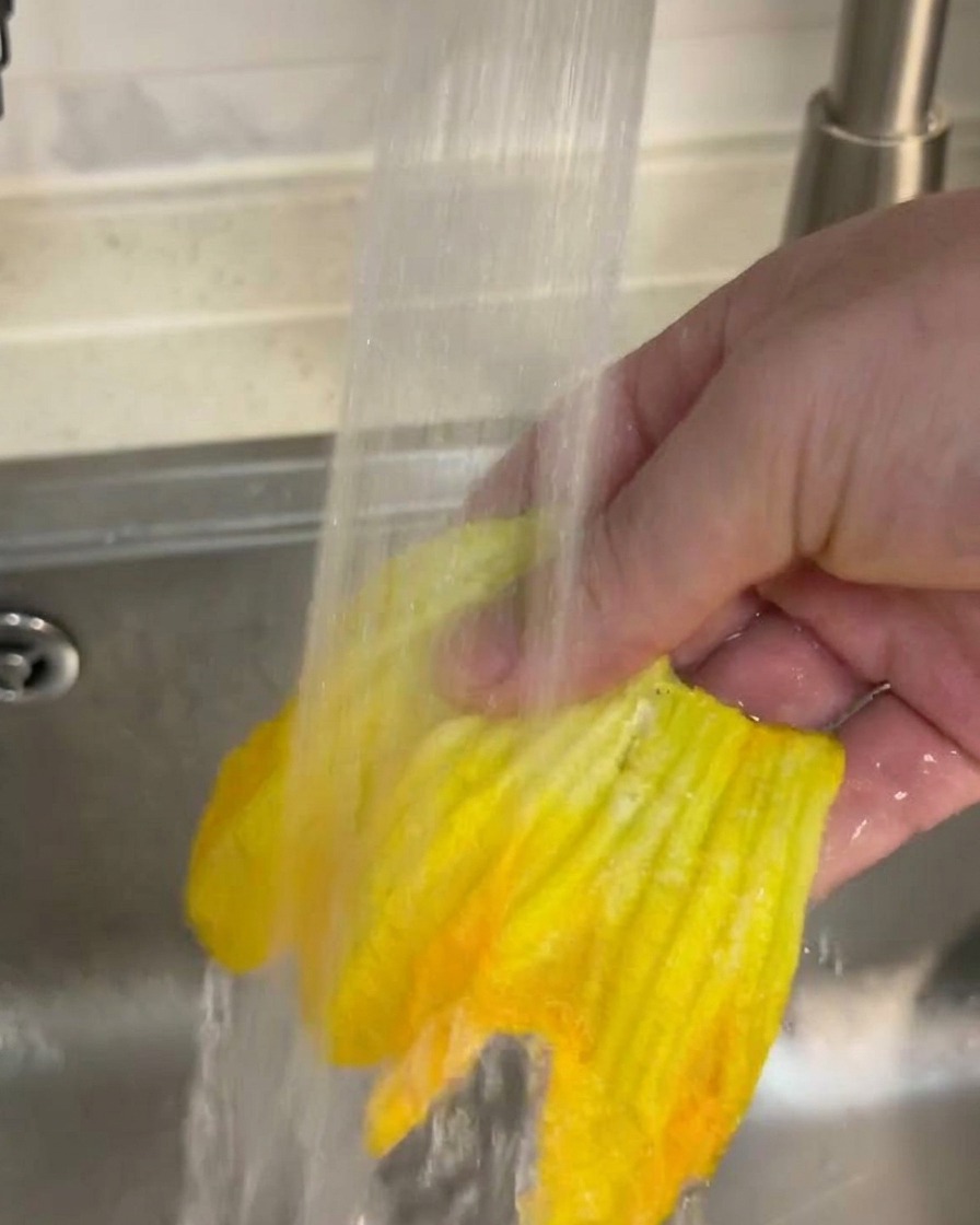 Une fleur de courge jaune rincée sous un filet deau délicat au-dessus dun évier.