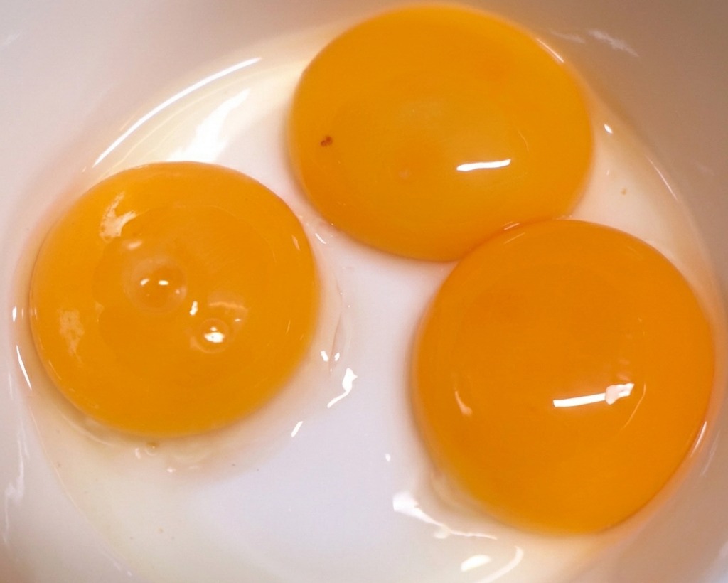 Trois jaunes dœufs dun orange vif dans un bol en céramique blanche propre, prêts à être utilisés.