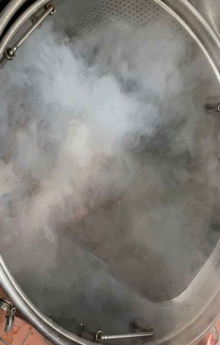 Un plateau dos de porc crus versé dans une grande cuve en acier inoxydable remplie deau bouillante fumante.