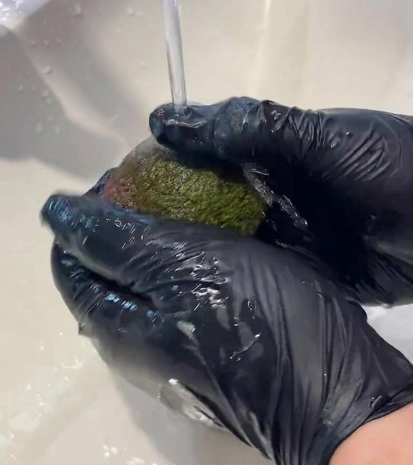 Un avocat coupé en deux et dénoyauté, sur une planche à découper en bois.