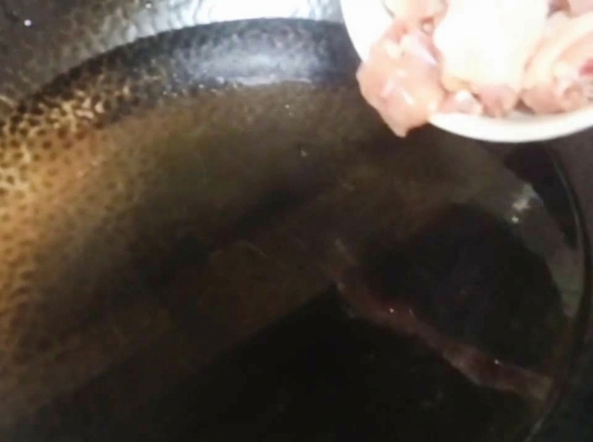 Morceaux de poulet cru versés dune assiette blanche dans un wok rempli deau froide.