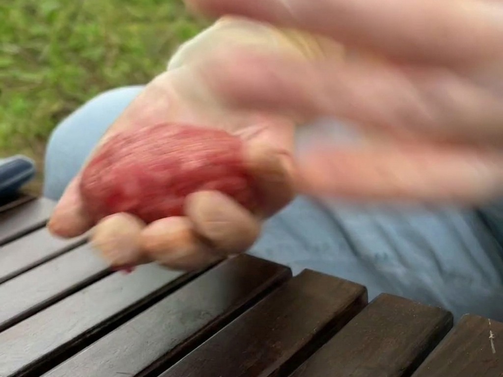 Un cliché en mouvement de mains gantées qui lancent et claquent une boule ronde de bœuf haché cru et assaisonné.