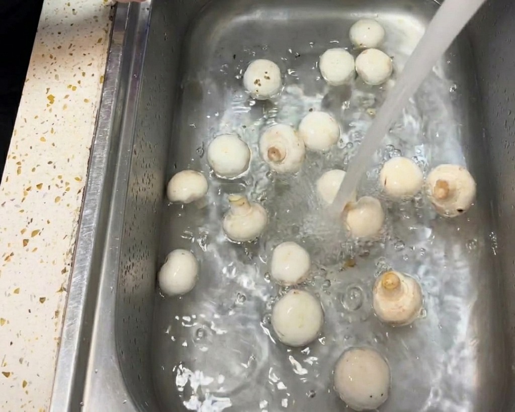 Gros plan dune main essuyant délicatement le chapeau dun champignon de Paris blanc avec un essuie-tout humide.