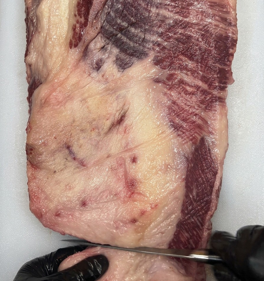 Gros plan sur des mains gantées de noir utilisant un couteau à désosser pour retirer le gras blanc dune poitrine de bœuf Wagyu brute.