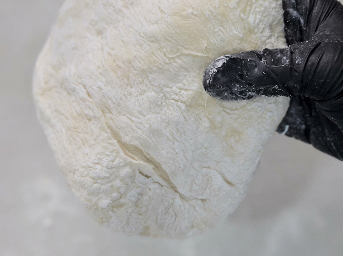 Pâte à pizza étalée et étirée sur une surface saupoudrée de semoule de maïs.