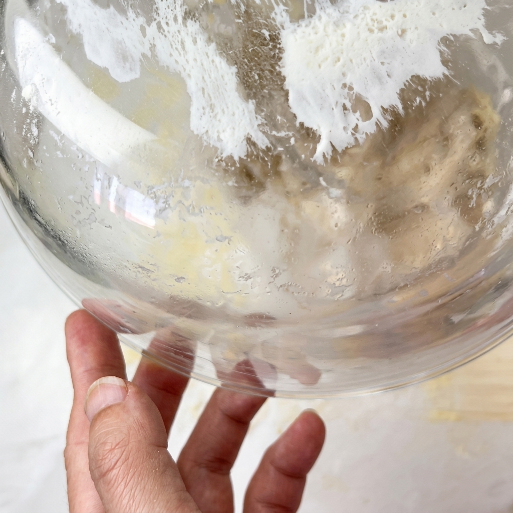 Pâte à pizza fermentée déposée sur un plan de travail fariné et pressée à la main.