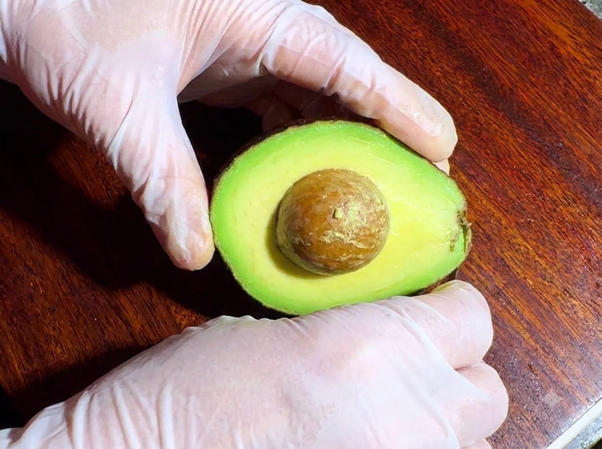 Un avocat coupé en deux montrant le noyau, tenu par des mains gantées sur une planche à découper en bois.