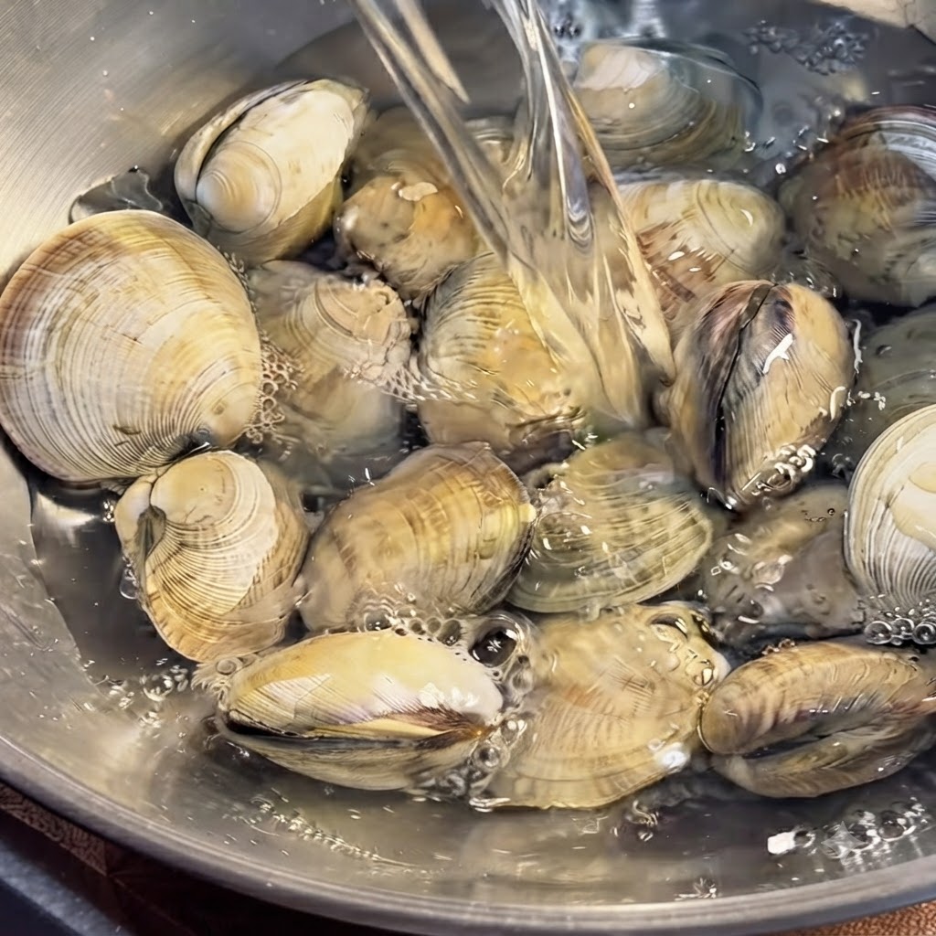 Palourdes submergées dans un bol deau et nettoyées soigneusement à la main.