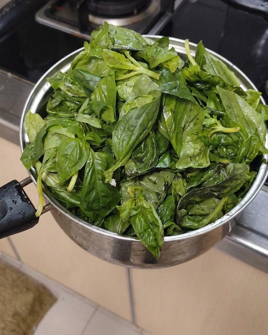 Feuilles de basilic fraîches et propres rassemblées dans un pot en métal.