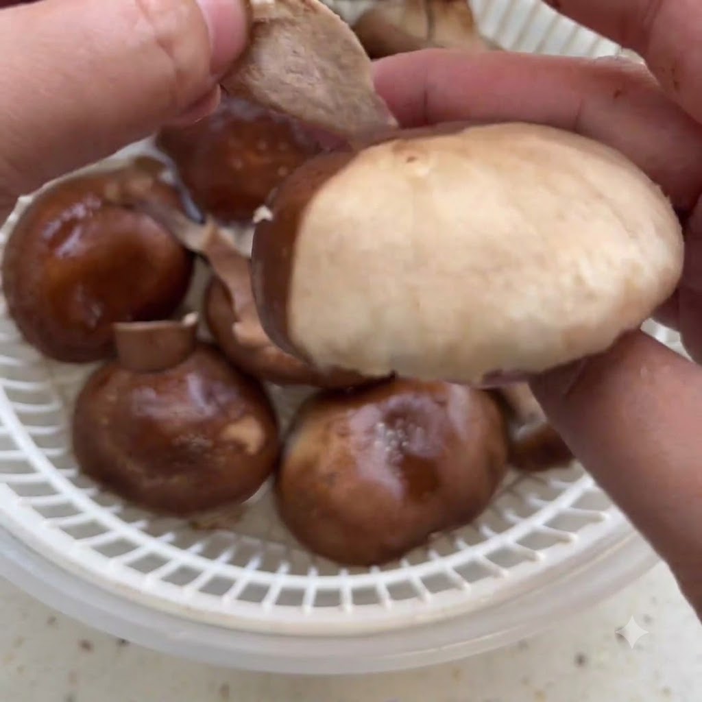 Mains pelant la peau extérieure dun champignon shiitake frais au-dessus dune passoire.