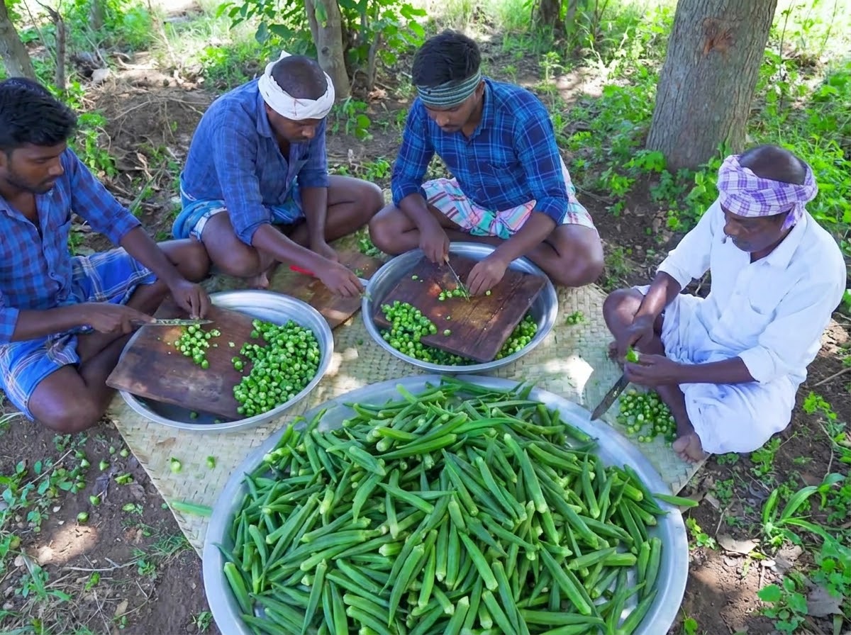 Plusieurs personnes assises coupant des gombos verts crus sur des planches à découper en bois.