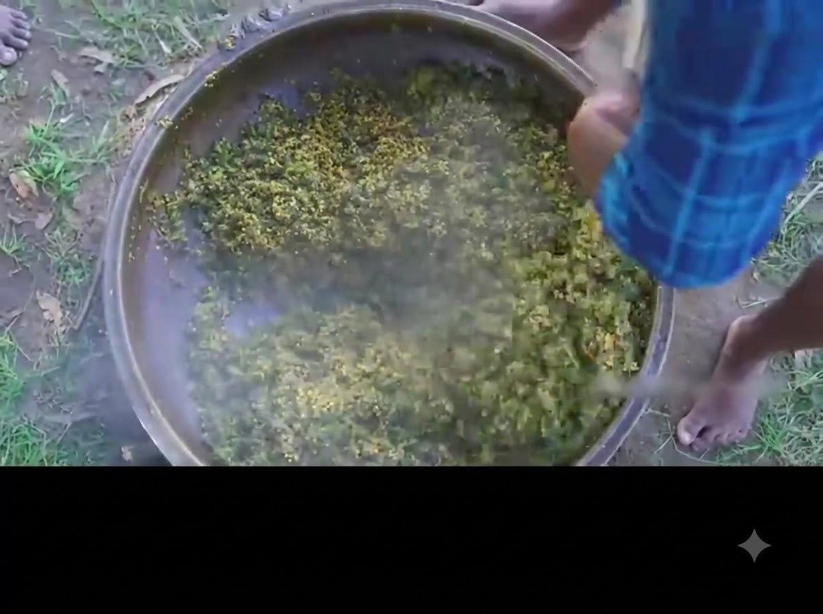 Une personne remuant le curry de gombo vert et dœufs fini dans une grande cocotte en fer.