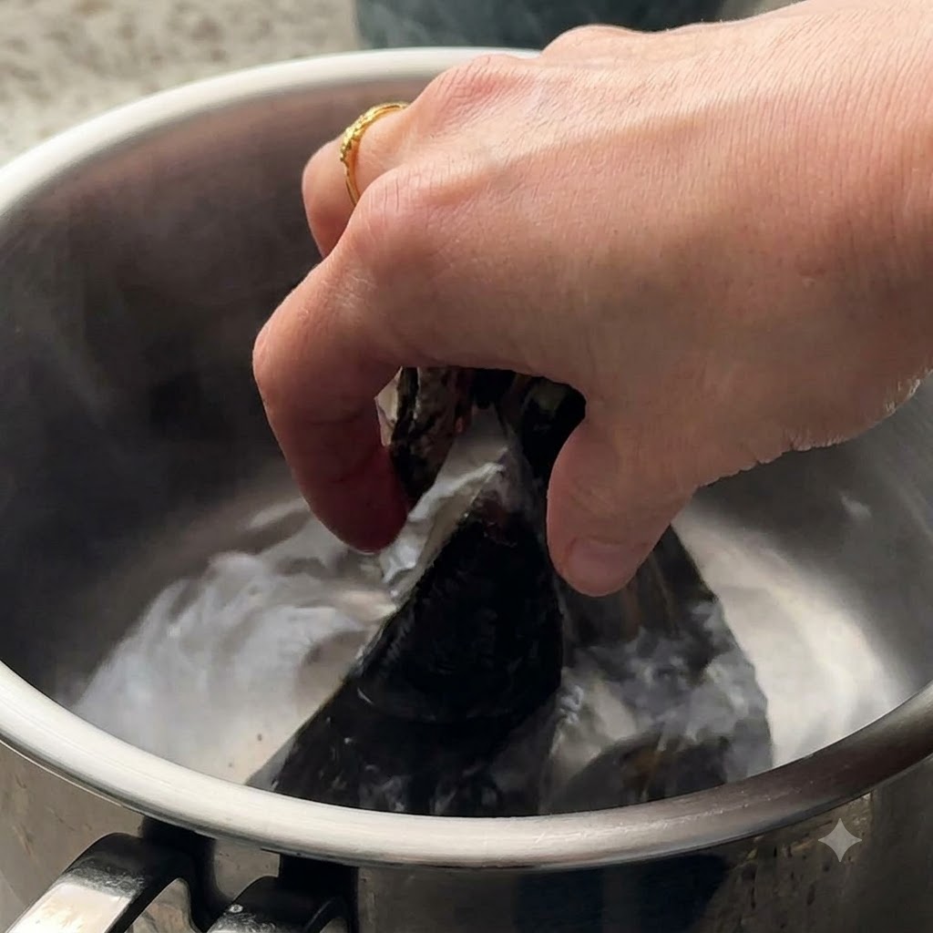 Des palourdes et des moules vertes placées dans de leau bouillante dans une casserole.