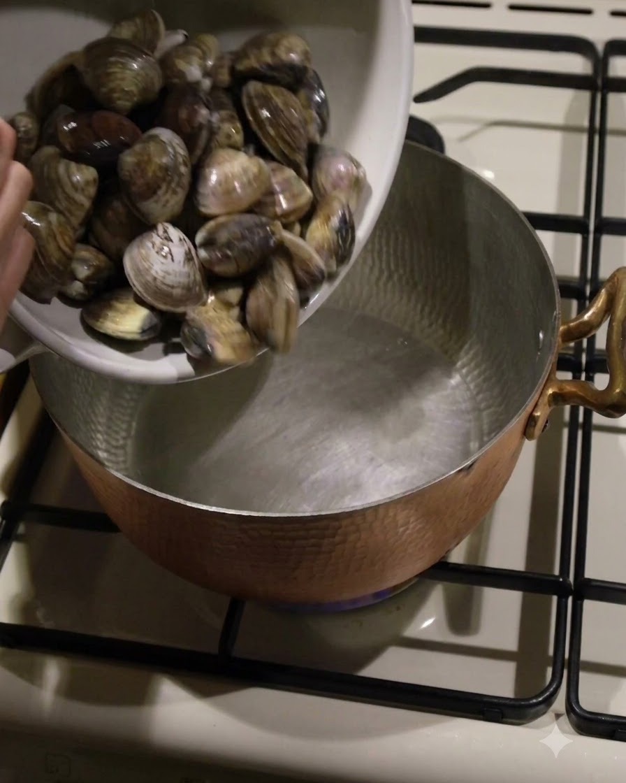 Des palourdes fraîches versées dun bol blanc dans une casserole en cuivre martelé sur une cuisinière.