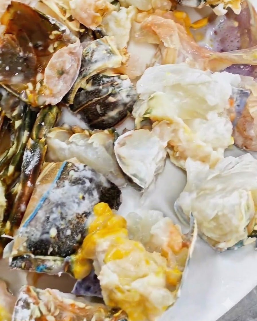 Morceaux de homard cru et haché saupoudrés de fécule de maïs blanche sur une assiette.